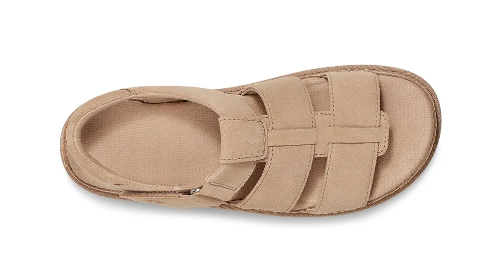 Goldenstar Strap in Driftwood by UGG