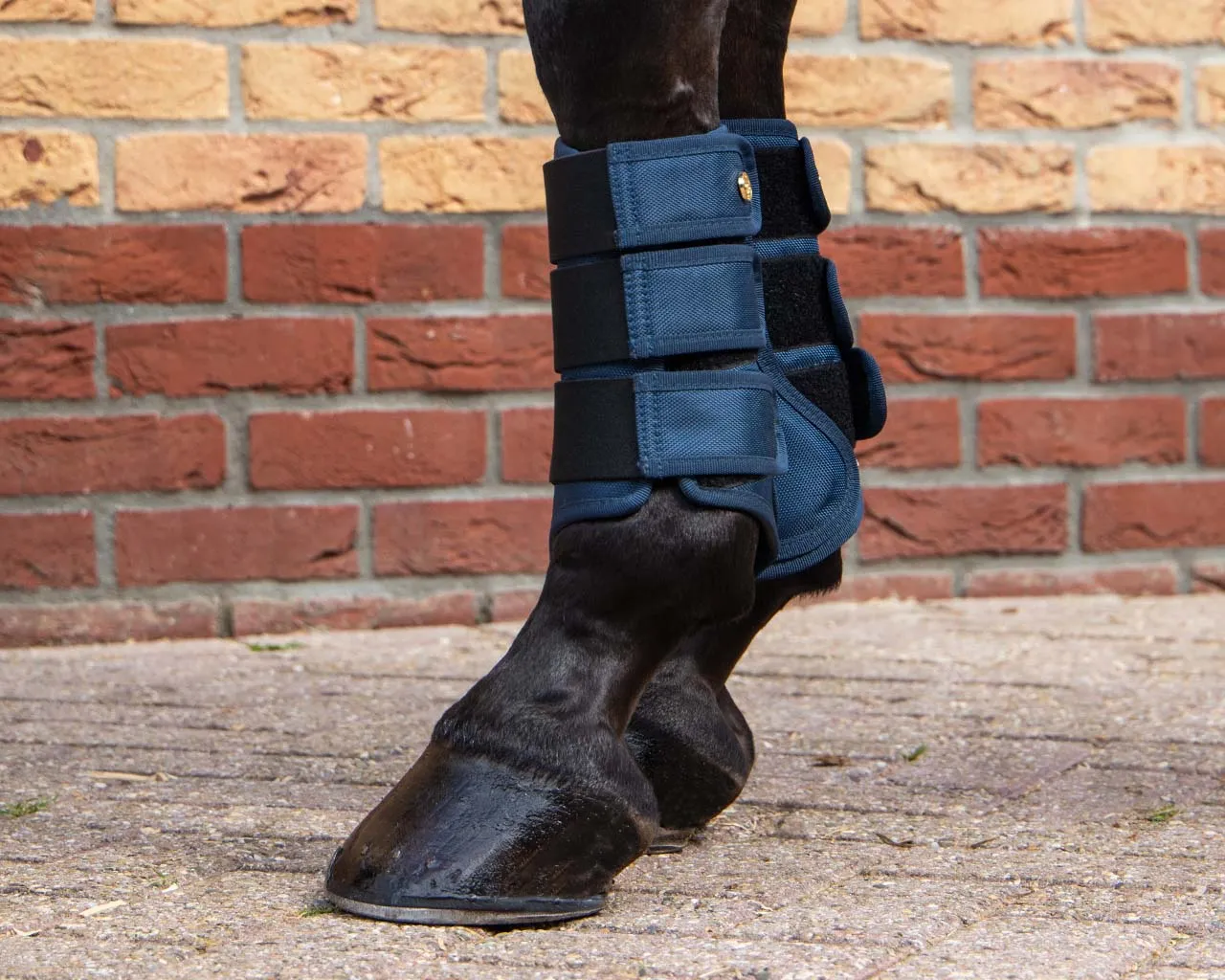 QHP Protection Boots Havana