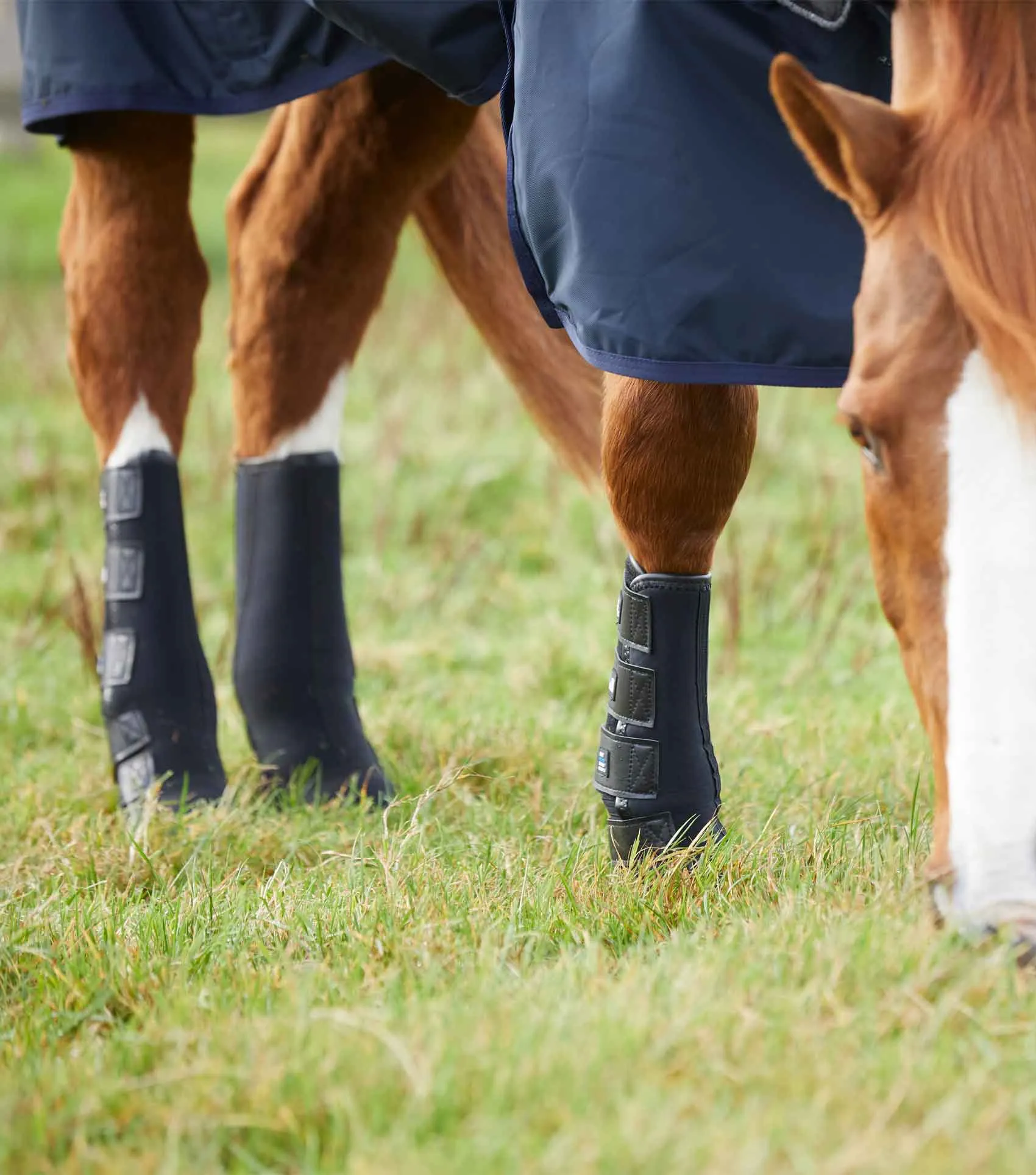 Turnout/ Mud Fever Boots